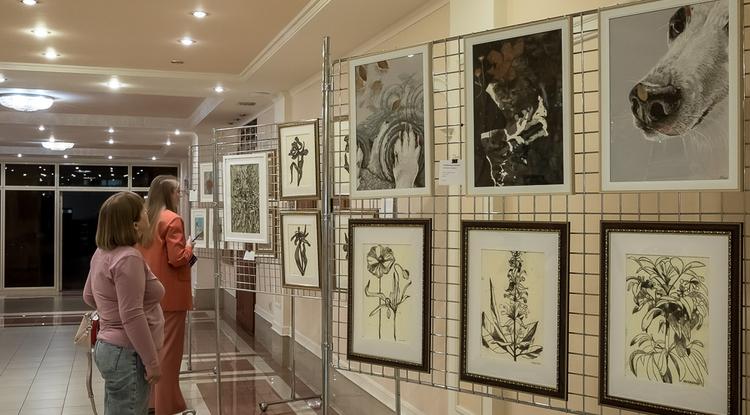 Как отдохнуть белгородцам 2–4 ноября