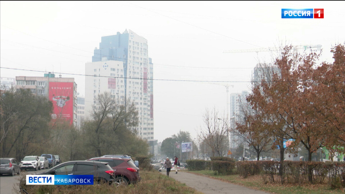 Маска и влажная уборка: врачи посоветовали, как избежать последствий задымления