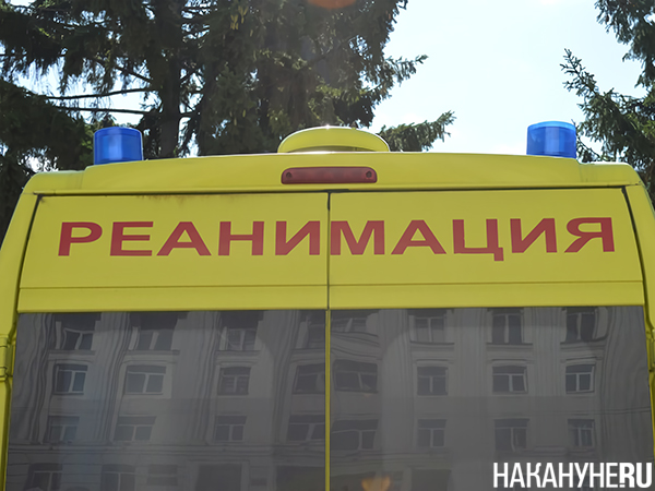 Фото: Накануне.RU