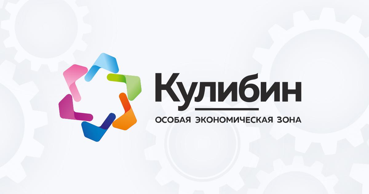 кулибин нижегородская область особая экономическая зона кулибин. кулибин особая экономическая зона нижегородская область. кулибин дзержинск. кулибин нижегородской области. завод кулибин дзержинск.