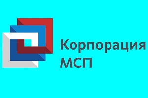 МСП в туризме за счет господдержки получили 30 млрд рублей за 9 месяцев 2024 года