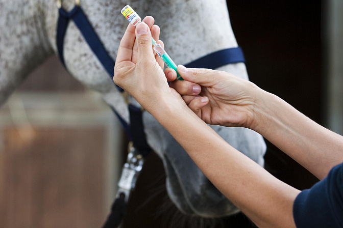 ветвакцина 