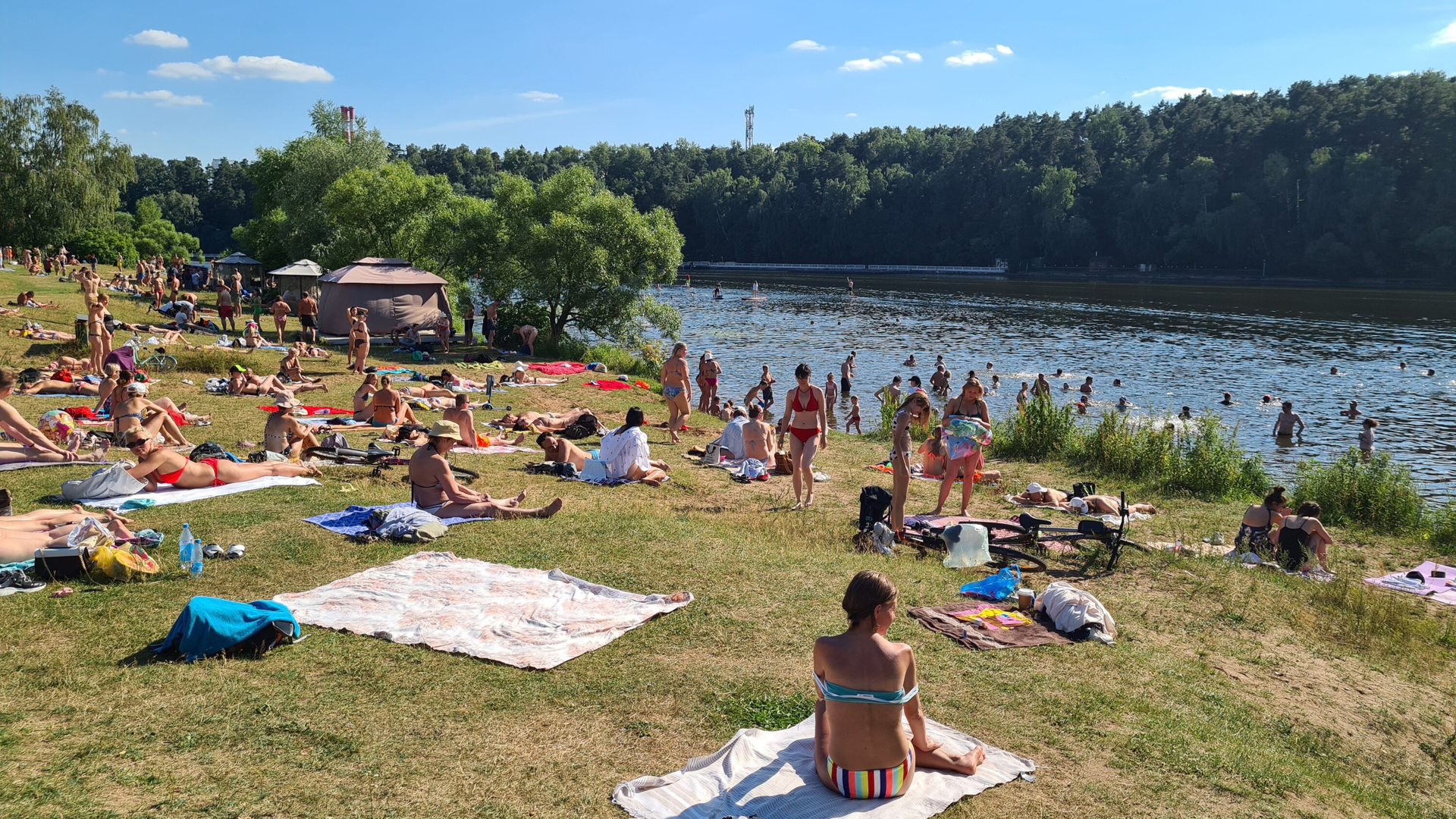 пляж на черном озере в зеленограде