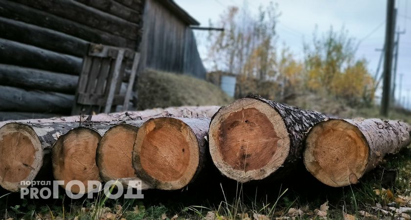 Суд запретил компании из Коми вывозить древесину без карантинного сертификата