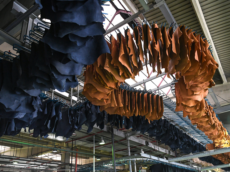 Старейший завод региона: новые страницы истории