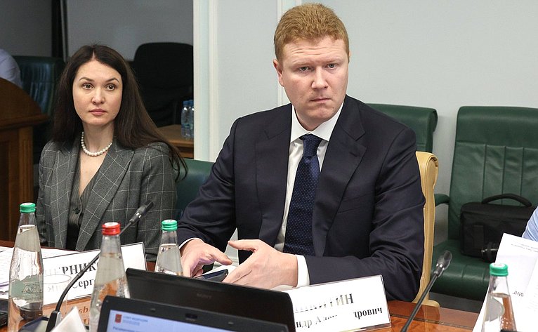 Расширенное заседание Комитета СФ по социальной политике (в рамках Дней Пензенской области в Совете Федерации)