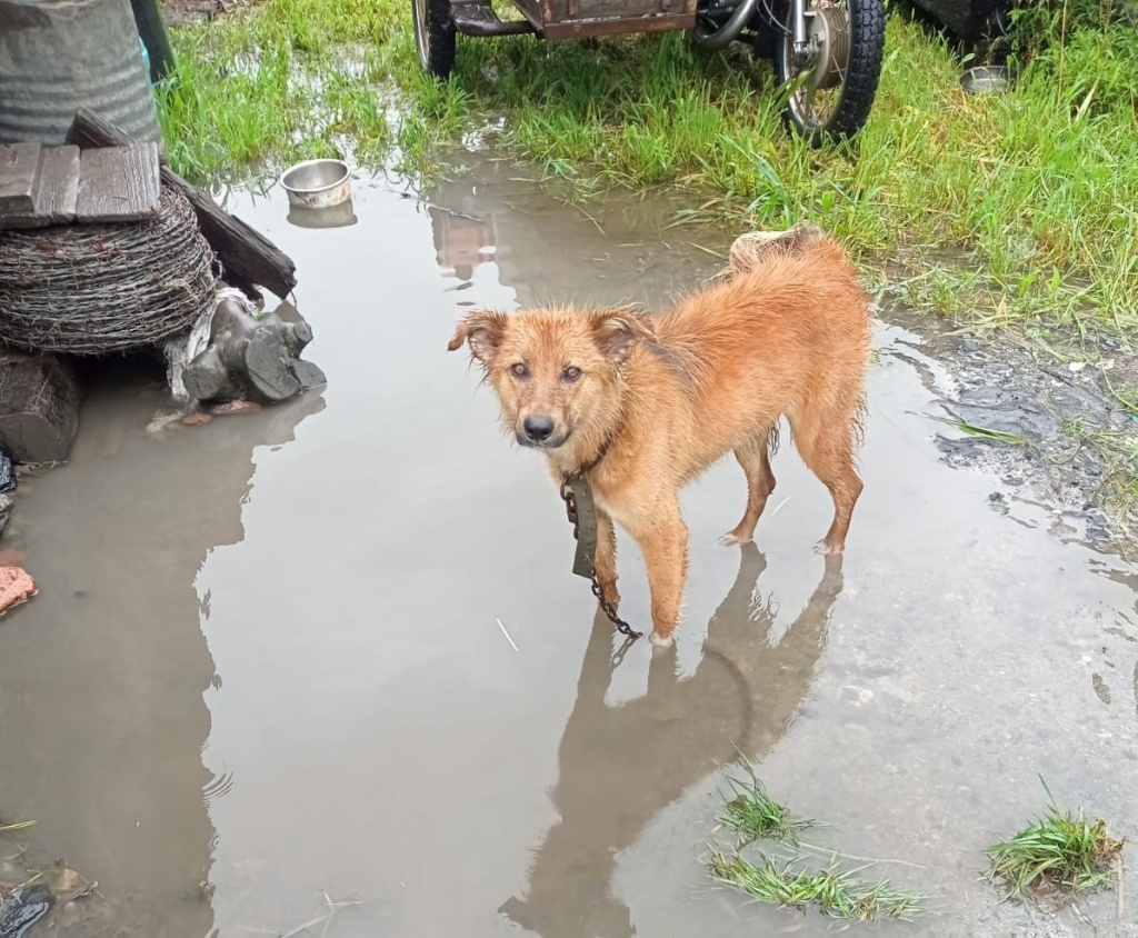 Последствия стихии в Приморье