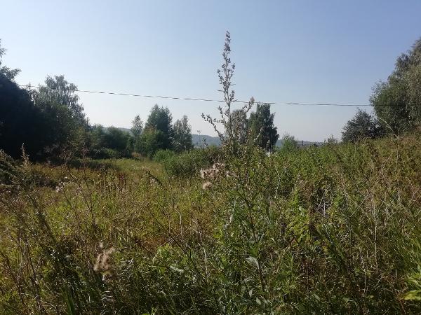 Фото участка.jpg