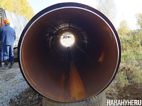 Фото: Накануне.RU