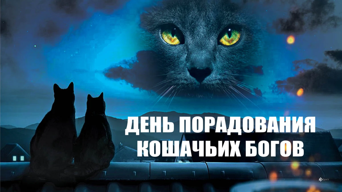 Кот бог. День порадования кошачьих богов. Кошачий Бог. Божественный кот. День кошачьих богов 4 июня.