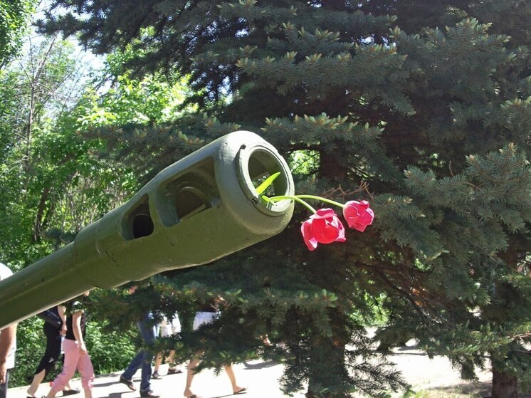 Саратовская область потеряла бойцов в ходе СВО