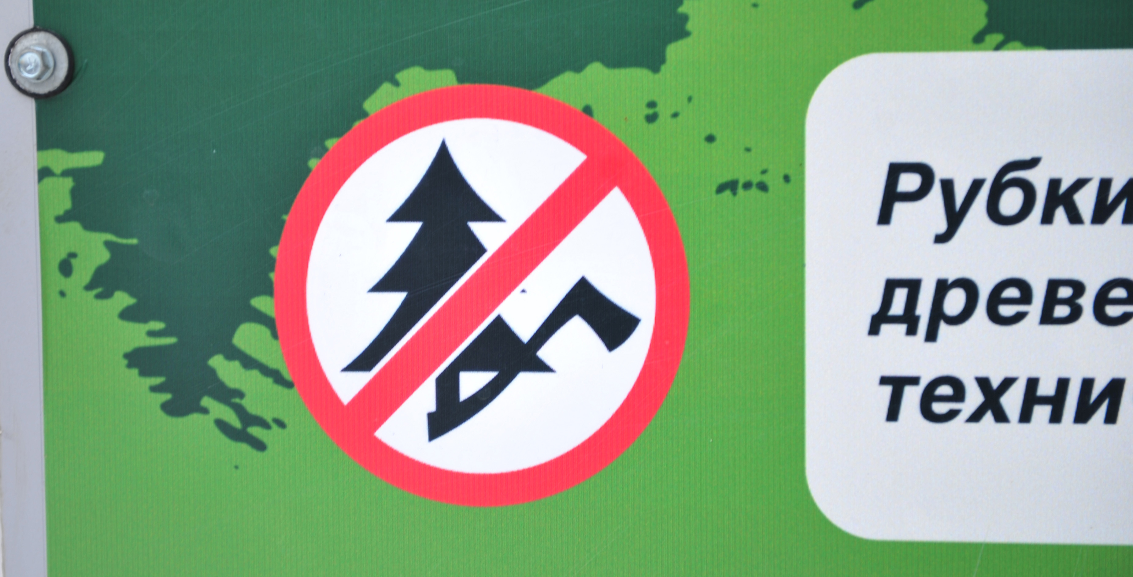 Нельзя вырубать деревья. Знак не вырубать деревья. Знак вырубка леса запрещена. Знак рубка деревьев запрещена. Вырубка лепа запрнщена.
