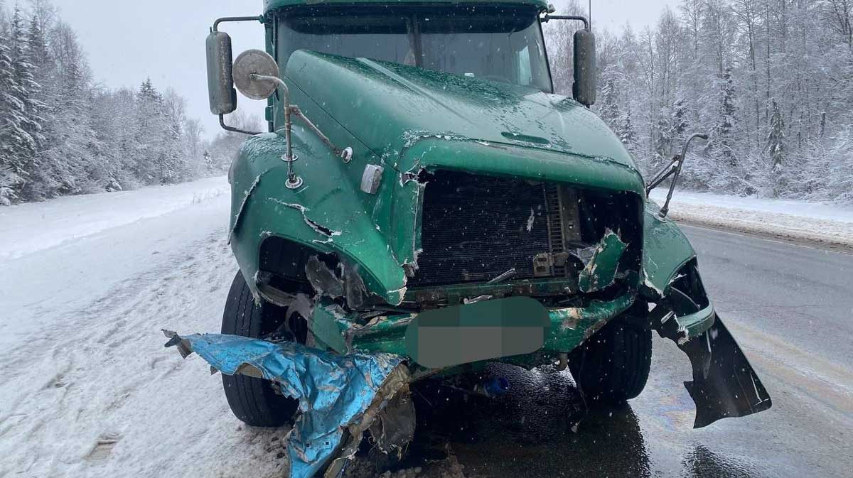 Под Шексной произошла смертельная авария: три человека погибло