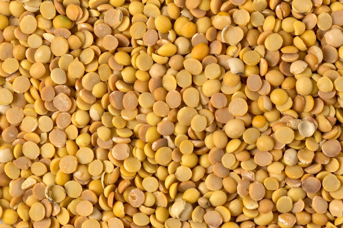 РФ в 2025 году может обновить рекорд по производству гороха — эксперт