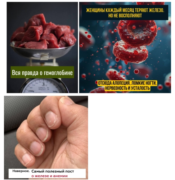 Оптимизация рекламы для онлайн-школы нутрициологии в ВК Рекламе