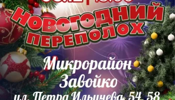 Актуализирован график открытия ёлок в Петропавловске-Камчатском