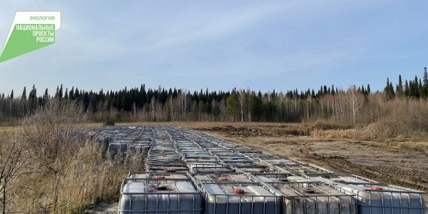 В Ивановской области с Горьковского водохранилища вывезли более 3000 ...