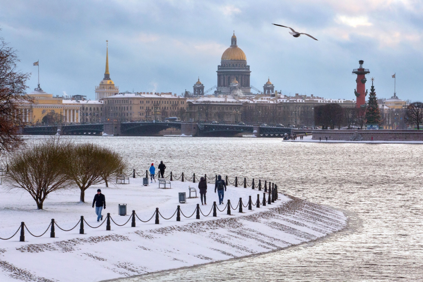 Фото: Куликов Сергей / PhotoXPress.ru