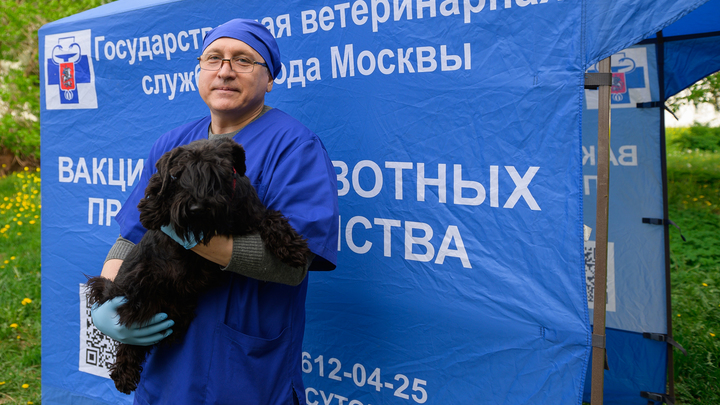 Вакцинация от бешенства в шаговой доступности: Где в Москве бесплатно привить собаку?