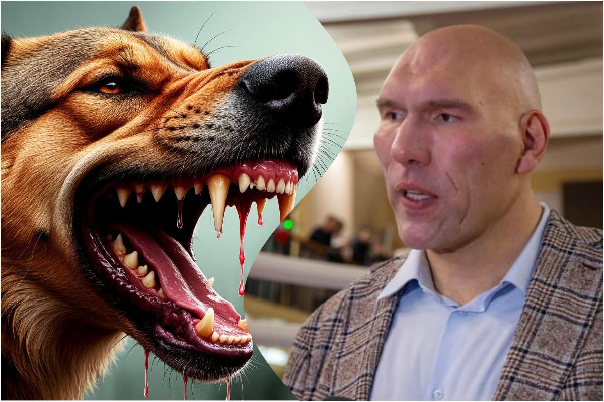 Валуев ответил «зоошизе»: Шатающееся шавло хуже борщевика. Депутат рассказал, как спасти россиян от собак