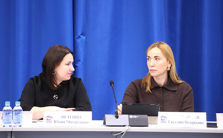 Заседание Комиссии Совета Федерации по развитию креативных (творческих) индустрий и народных художественных промыслов в РФ