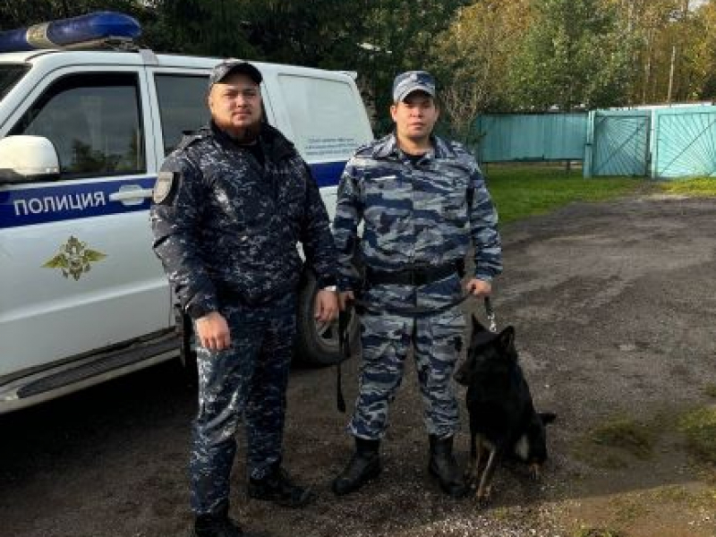 JPG Файл