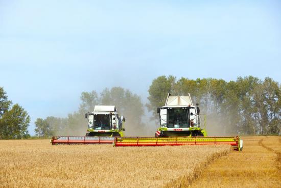 Около 1,5 млрд рублей федерация планирует направить в 2026 году на поддержку АПК и развитие сельских территорий Иркутской области