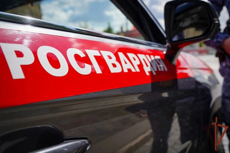 Росгвардейцы задержали нарушителя на территории школы в Москве (видео)