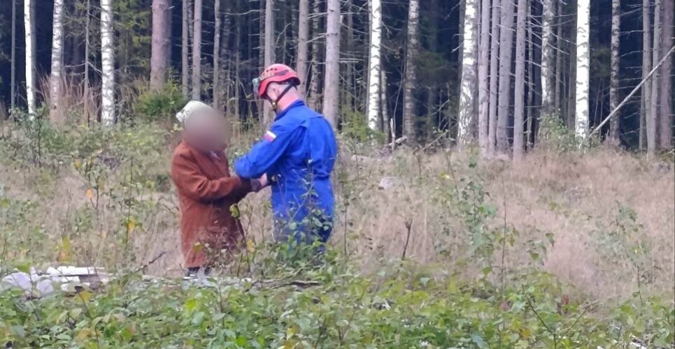 Поисково-спасательная операция в Новгородском районе завершилась успешно