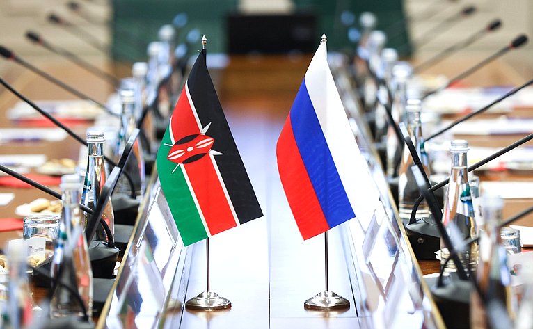 Встреча председателя Комитета СФ по международным делам Григория Карасина с заместителем Председателя Сената Республики Кения Катури Мурунги