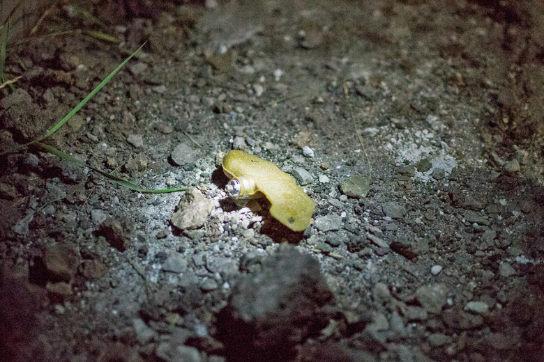 Мина ПФМ-1 «Лепесток»