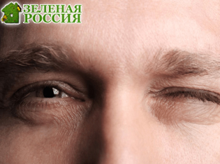 О чём говорит моргание: как движения век выдают уровень нашей концентрации