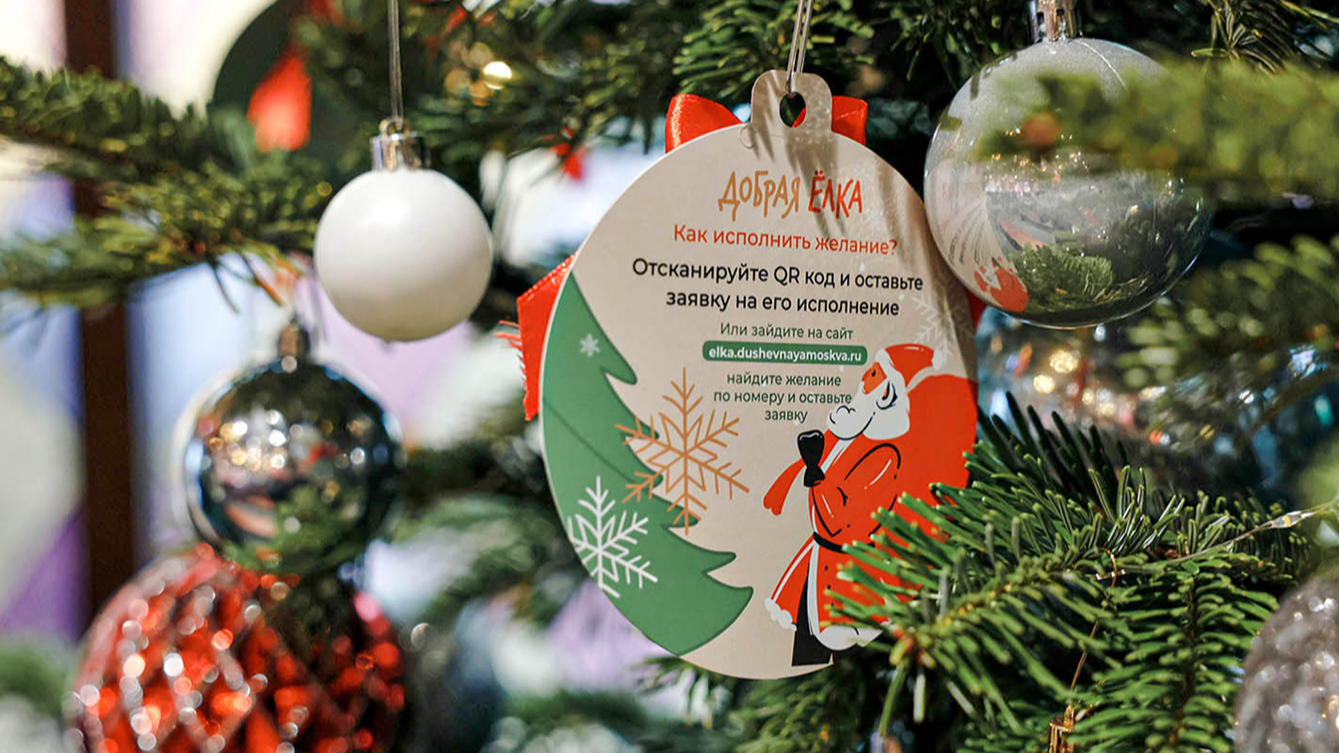 благотворительная елка романовых. ель в якутии. акция ёлочка добра с родителями. история украшения елки на новый год. елка добра конверт.