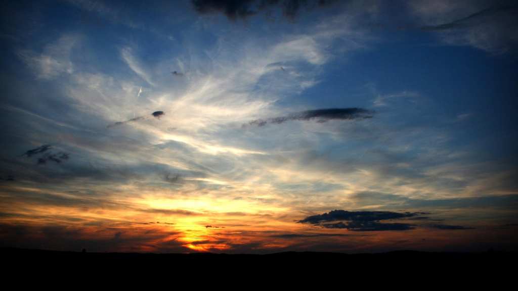 В Cети появились снимки сбитого под Москвой беспилотника (ФОТО) | Русская весна