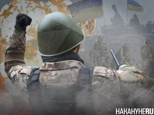 Фото: Накануне.RU