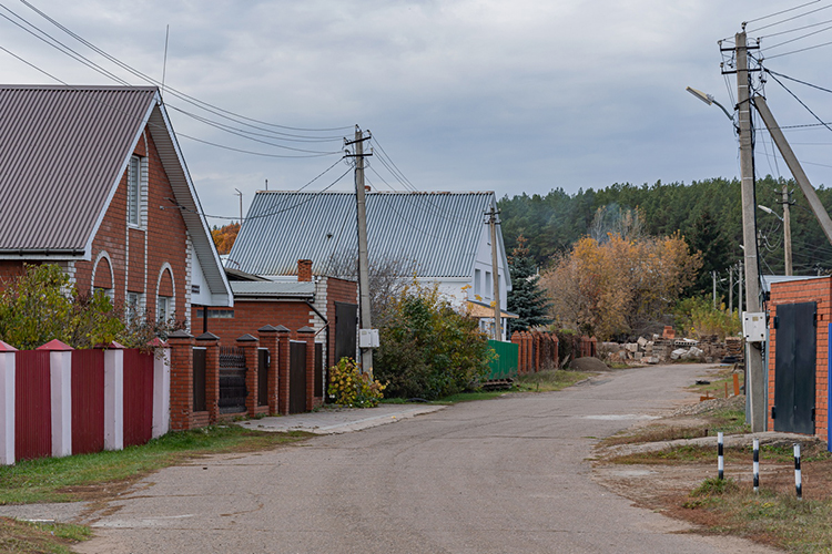 Поселок Кумыс и СНТ «Сосновая роща» хотят забрать елабужане
