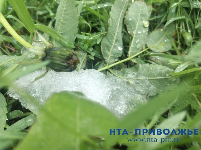 Штормовое предупреждение объявлено в связи со снегопадом в Пермском крае