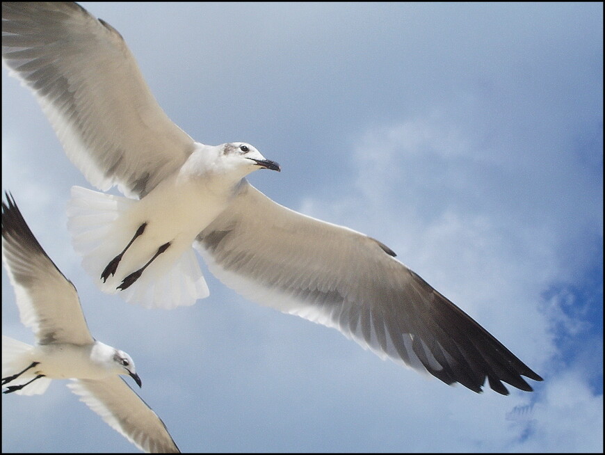 Древность и современность в Канкуне