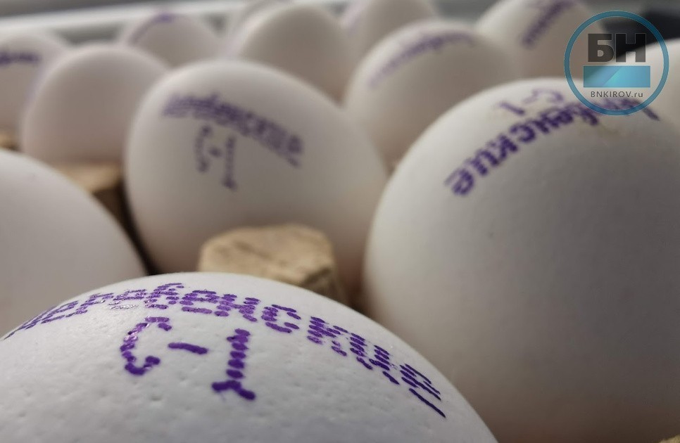 Кировское УФАС возбудило дела в отношении производителей яиц 