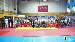 В Челябинске провели Фестиваль борьбы по трем единоборствам