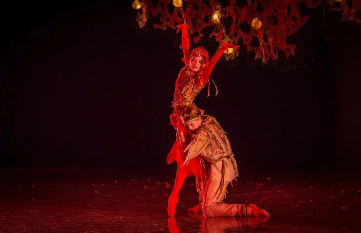 «Мне позвонили ночью, я не могла вымолвить и слова»: приморская балерина стала заслуженной артисткой РФ