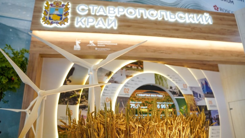 Губернатор Владимиров подвёл итоги участия Ставрополья в Кавказском инвестфоруме