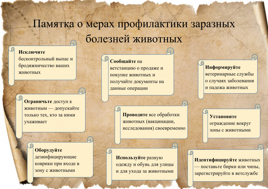 Управление ветеринарии Амурской области о профилактике распространения опасных заболеваний животных
