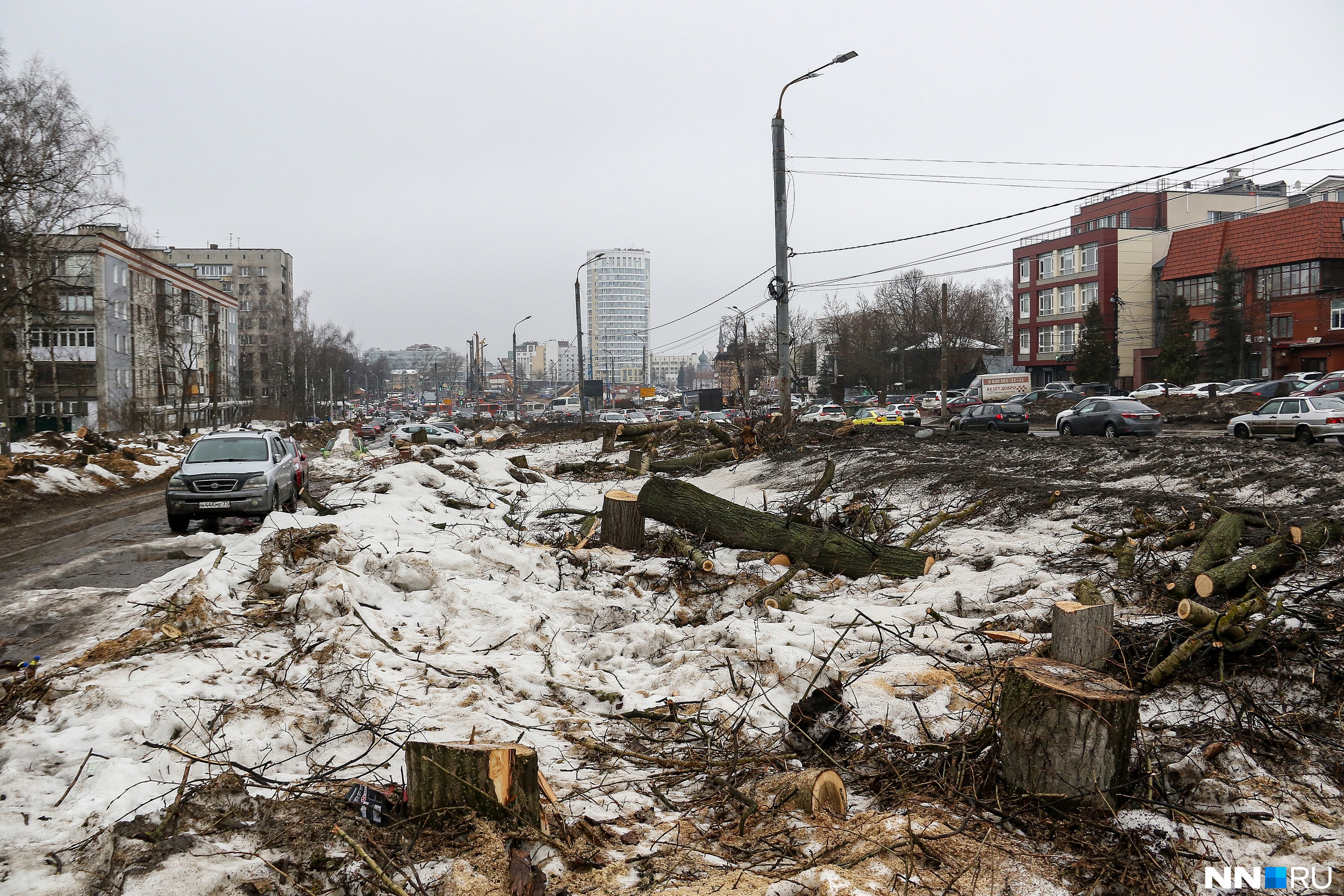 Буря в нижнем новгороде сегодня