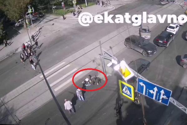 Глава СКР взял под контроль дело о наезде самокатчика на 11-летнего музыканта в Екатеринбурге - Фото 1