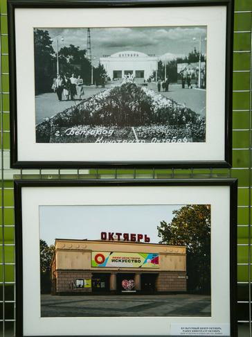 В БелГУ открылась фотовыставка «Область длиною в жизнь» - Изображение 1