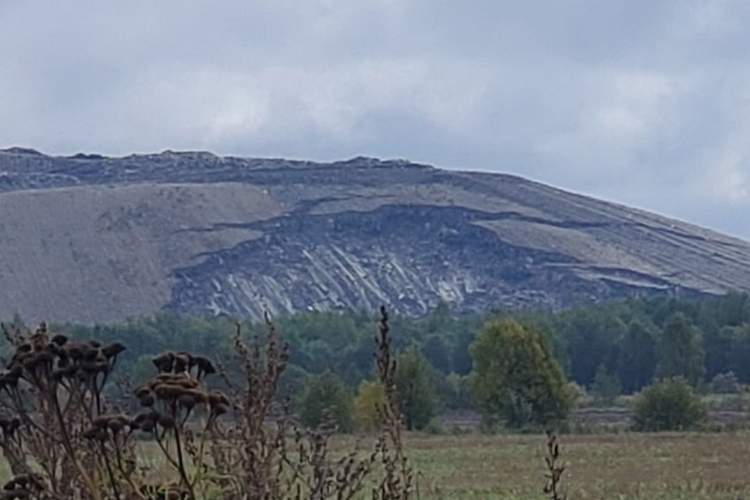 мусорный полигон гатчина новый свет. новый свет гатчинский район полигон. новый свет гатчинский район свалка. свалка в гатчине. гатчинский полигон.