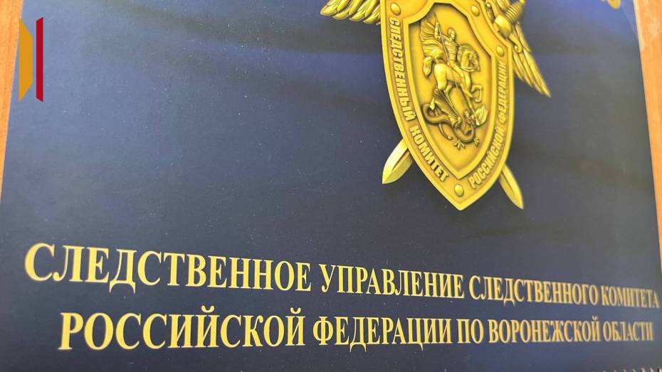 Возбуждено уголовное дело после ЧП на вагоноремонтном заводе, из-за которого воронежский слесарь потерял ногу