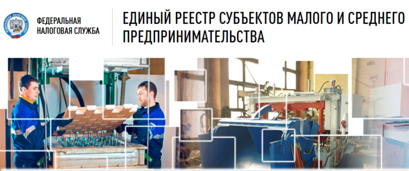 Хабаровским предпринимателям напоминают о важности соблюдения сроков налоговой отчетности
