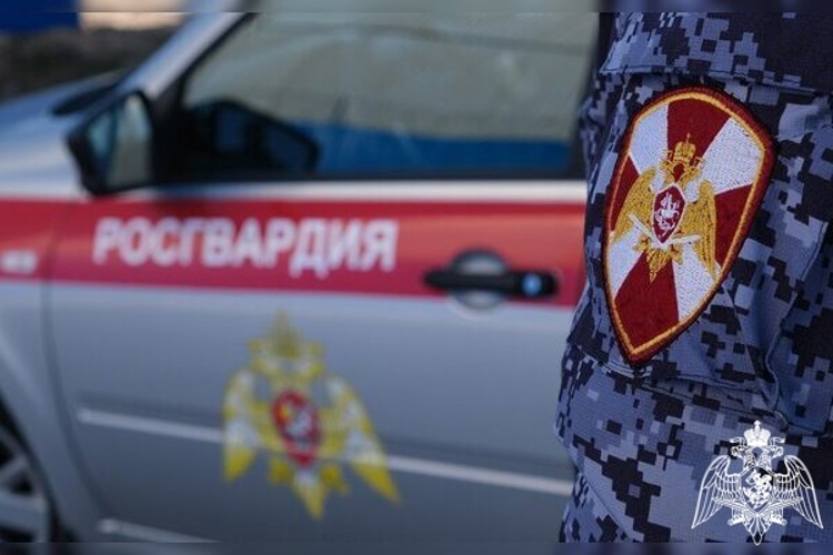 Итоги работы сотрудников вневедомственной охраны Росгвардии за неделю в Смоленской области